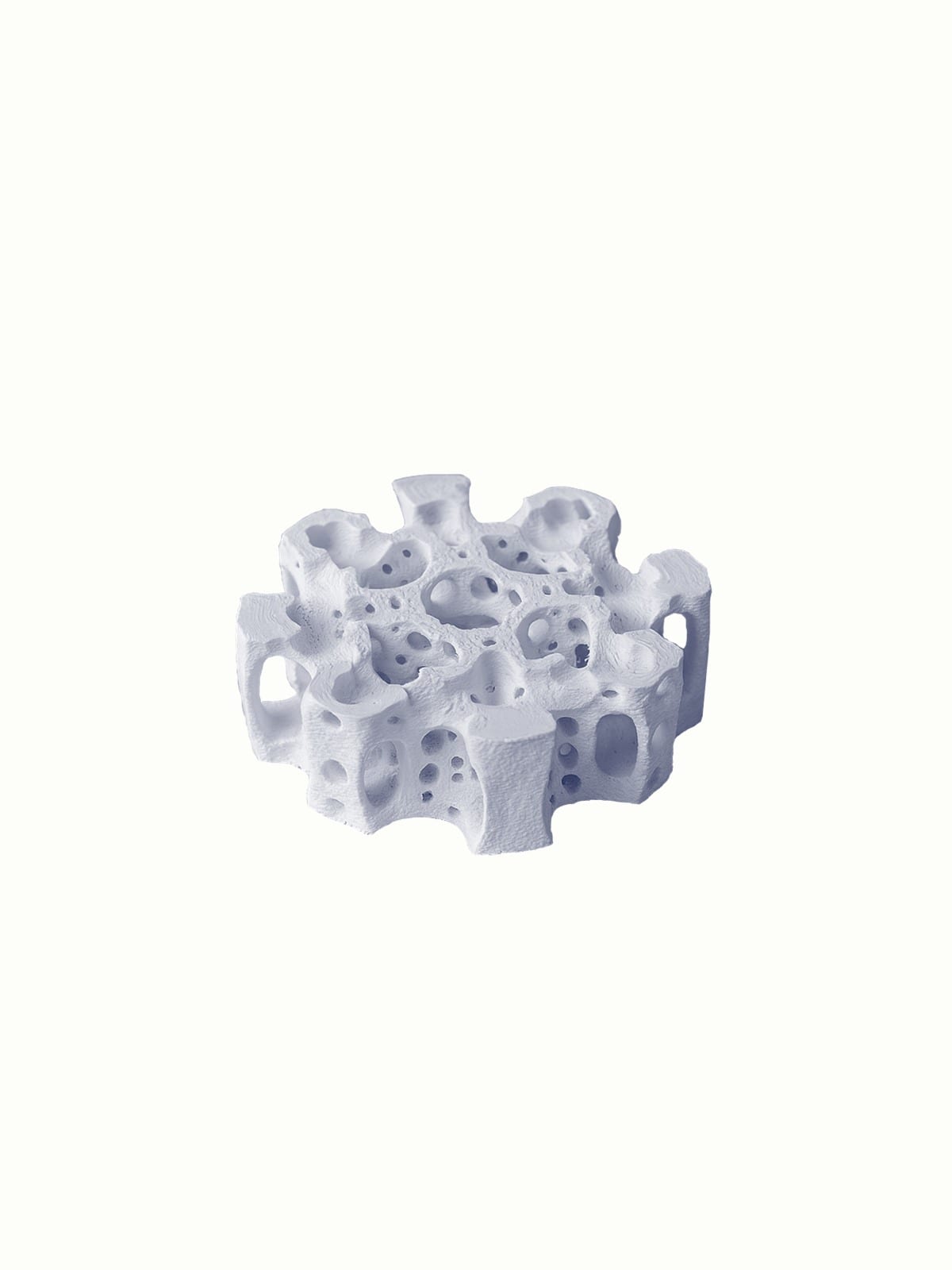 Maquette imprimée du module alvéolé, la carotte vue de dessus